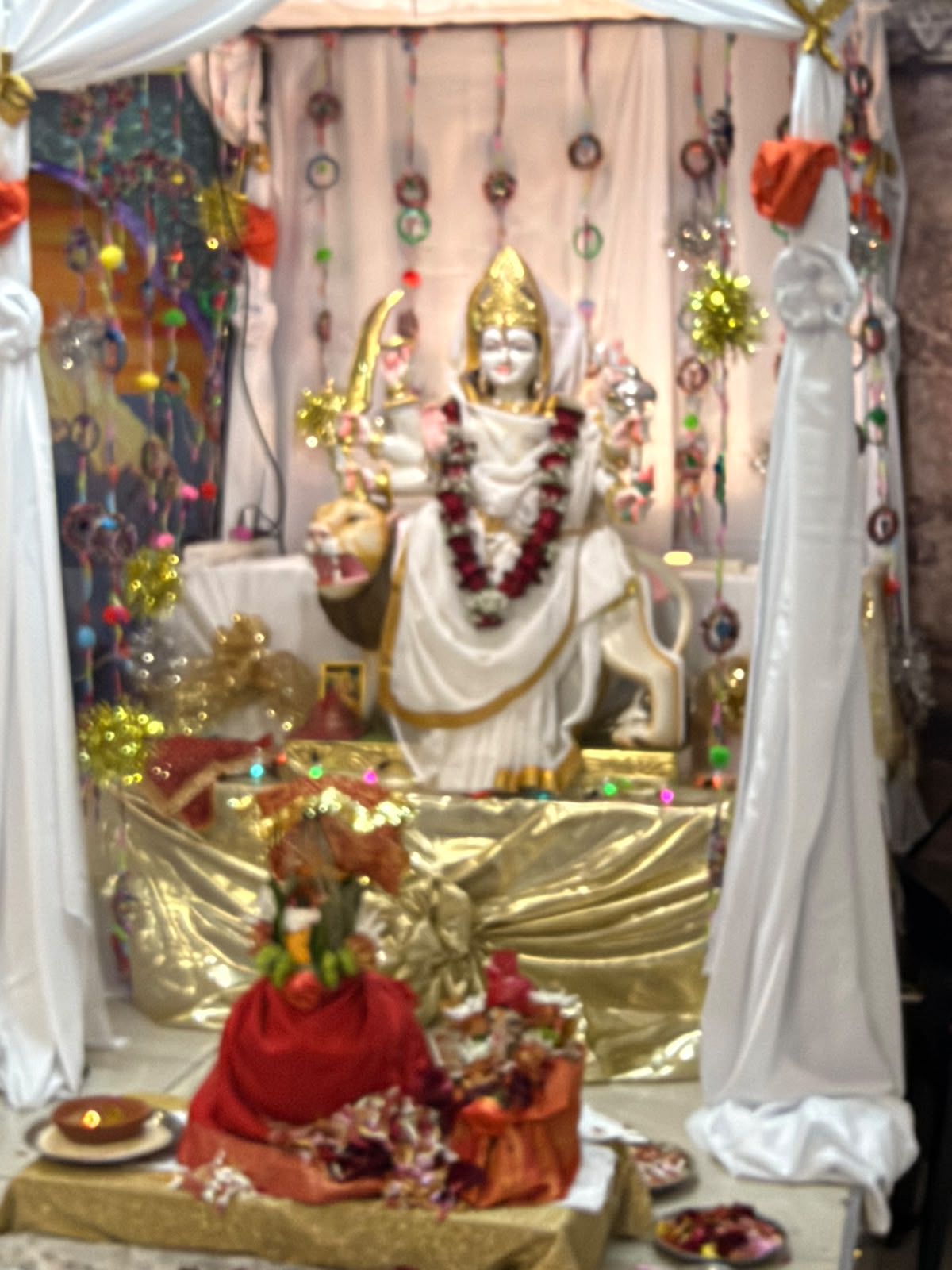 Navaratri 2026 photo 12